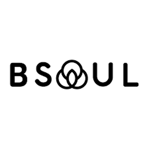 Logo de Bsoul