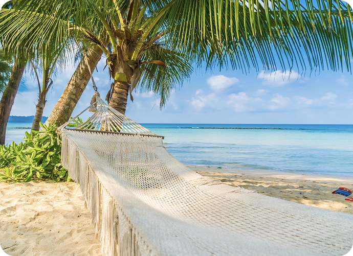 Playa tropical del Caribe con aguas turquesas y palmeras.