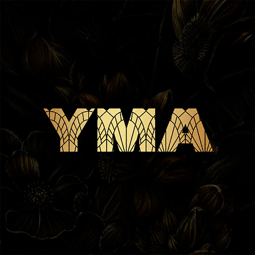 Logo de YMA Dólares-Premio