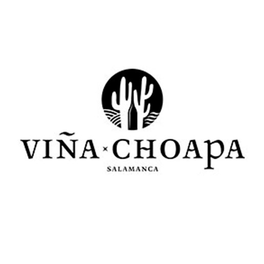 Viña Choapa logo